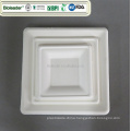 Factory Directly White Square Bagasse Take Away Biodegradable Plates